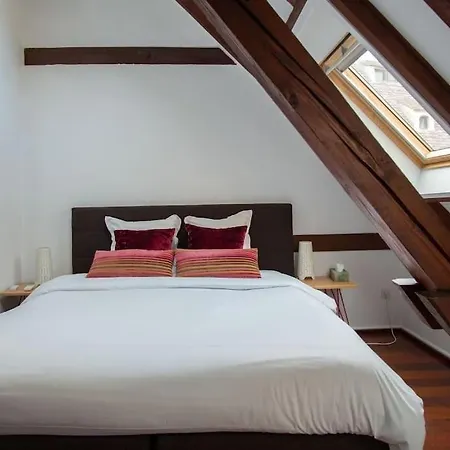 X L'or - Typical Alsacian In Appartement Strasbourg